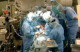 Жизнь жителей Черкасс с трансплантированными органами - под угрозой