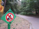 В парке "Сосновый бор" запретили "летать" на велосипедах к Днепру