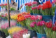 В Черкассах обустроят цветочный ярмарок
