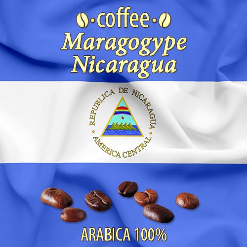 Лучший кофе это - Никарагуа Марагоджип