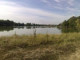 Сельсовет незаконно продал 3 гектара на берегу Кременчугского водохранилища