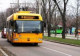 На День города черкасские троллейбусы будут бесплатно перевозить пассажиров