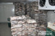 Бывший милиционер организовал масштабный незаконный сбыт рыбы на Черкасщине