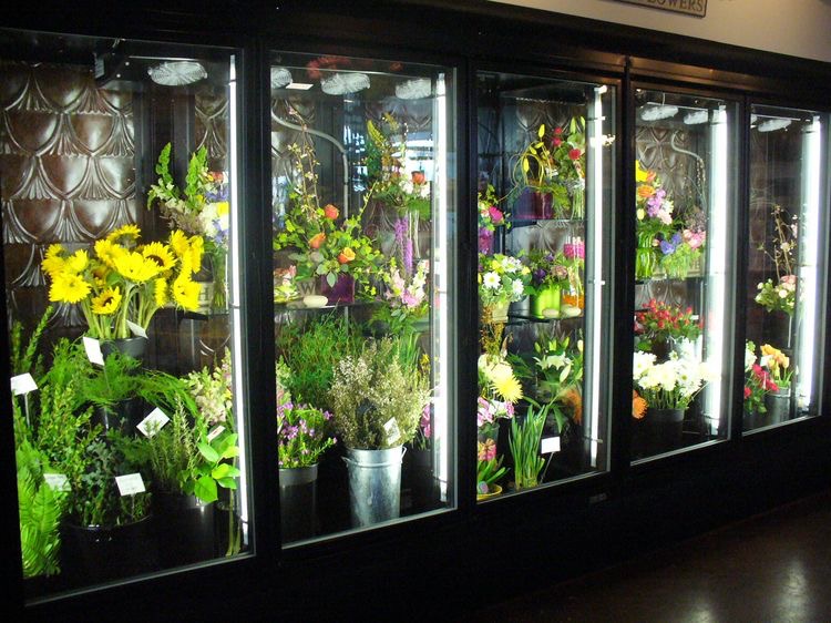 холодильные камеры для цветов